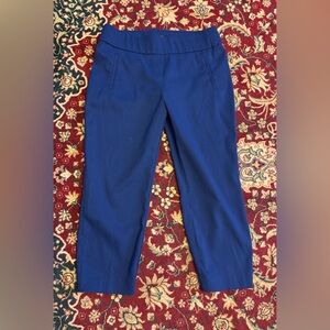 Apt. 9 Women's Royal Blue and Black Capris
